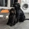 Val Morrison - @val.morrison - TikTok