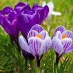 Val Mulder - @mum24gmum27 - Instagram