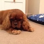 Val Murphy - @valeriemurphy45 - Instagram