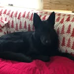Val Murphy - @vmurph8895 - Instagram