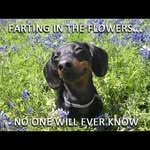 Val Murphy - @porterlk_4_armandwvk - Instagram