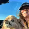 valpeterson777 - @makemoneydailywithval - TikTok