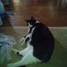 Val Phillips - Facebook