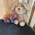 Val Phillips - @valgrays_rescue - Instagram
