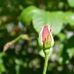 Val Reid - Facebook