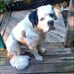 Val Reid - Facebook