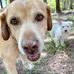 Valerie Reid - Facebook