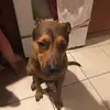valeriesnider8902 - @valeriesnider8902 - TikTok