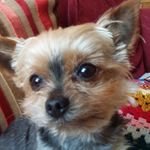 Val Thompson - @dolphinval1 - Instagram