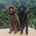 Val Thompson - Facebook