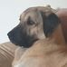 Val Warren - Facebook