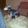 valeriewilcox398 - @valeriewilcox398 - TikTok