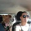 valwolfe - @valwolfe - TikTok
