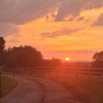 Val Wright - @valwright1955 - Instagram