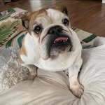 Valarie M Floyd - @vfloyd0831 - Instagram