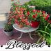 Valerie Floyd - Facebook