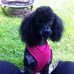 Valerie Floyd - Facebook