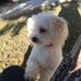 Valerie Hunter - Facebook