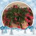 Valerie Hunter - Facebook