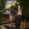 Valarielynch - @valarielynch1 - TikTok