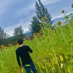 Valdemar Vasquez - @valdemar_vasquez - Instagram