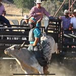 Cristian Valencia - @valencia_buckingbulls - Instagram