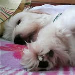 ana maria   valecia calderon - @valencia_caderon_anita - Instagram