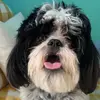 Cooper - @cooper.valencia - TikTok