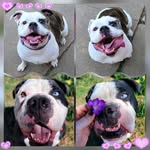 Teresa Valencia-Galloway - @tvsseeker14 - Instagram
