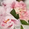 Valencia Simpson - @valencia.simpson - TikTok