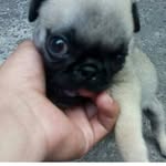 Valentin Barcenas Garcia - @valentinbarcenasgarcia - Instagram