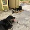 Valentín - @valentin.campos14 - TikTok