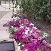 Valentin Chavez - @valentin.chavez8 - TikTok