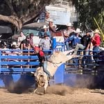 Valentin Estrada - @_estrada59_ - Instagram