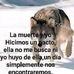 Valentin Estrada - Facebook