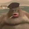 Valentin Meza - @valentinmeza345 - TikTok
