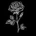 Valentin Rocha - Facebook