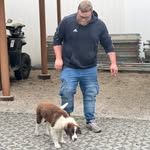 Valentin Hamsterweitwurf - @valentinschmidt - Instagram