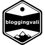 Valentin Schmid - @bloggingvali - Instagram