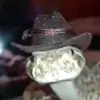 Valentin solis - @valentin.solis4 - TikTok