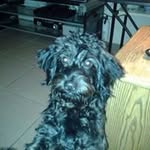 Valentin Solis - @valentinsg67 - Instagram