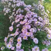 Valentin Toma - @valentin.toma17 - TikTok