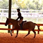 Valentina Mann - @vem.equestrian - Instagram