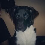 Valentino Rivera - @valentino.rivera11 - Instagram