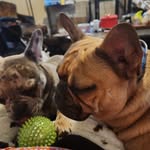 Valeri Berg - @valeriberg3 - Instagram