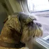 Valeri Berg - @valeri.berg - TikTok