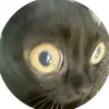 Valeria Jackson - @valeria.jackson6 - TikTok