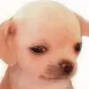 valeria_king 13 - @valeria_king.13 - TikTok