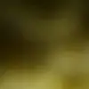 burbuja.1234v - @valeriamerida1234 - TikTok