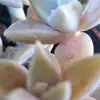 Valeria Meyer - @valeriameyer2 - TikTok